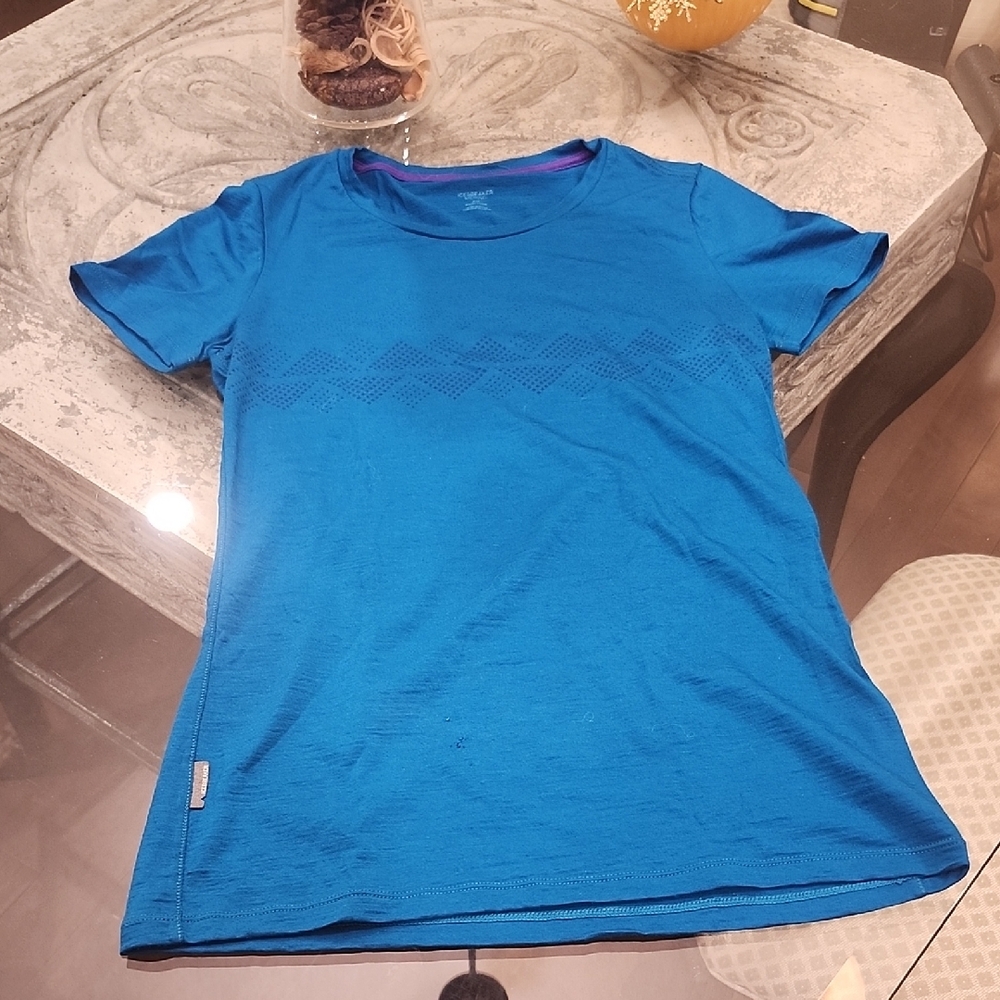 Blue Short Sleeve Crew Neck WoolT-Shirt
